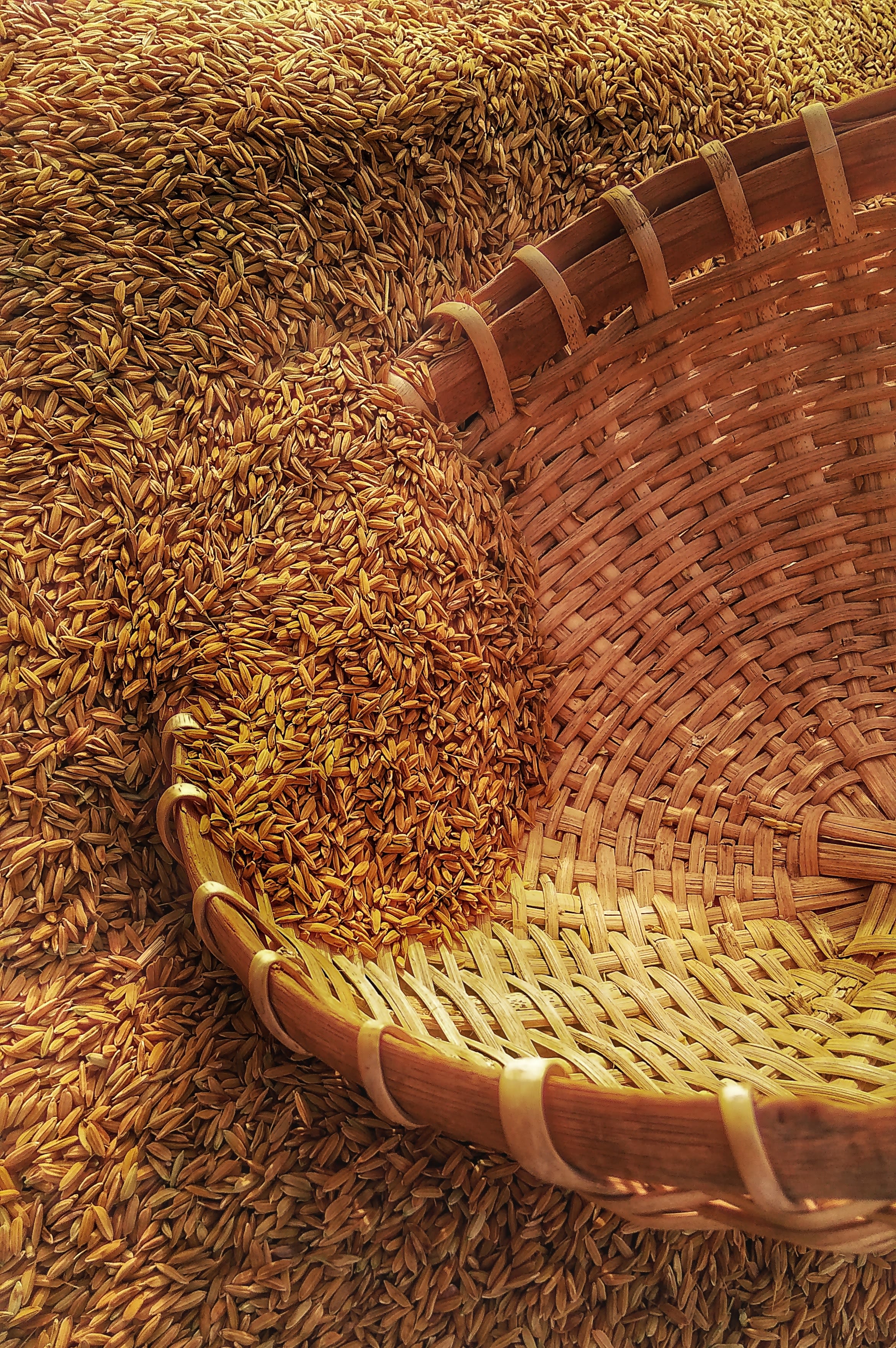 wicker basket on rice grains